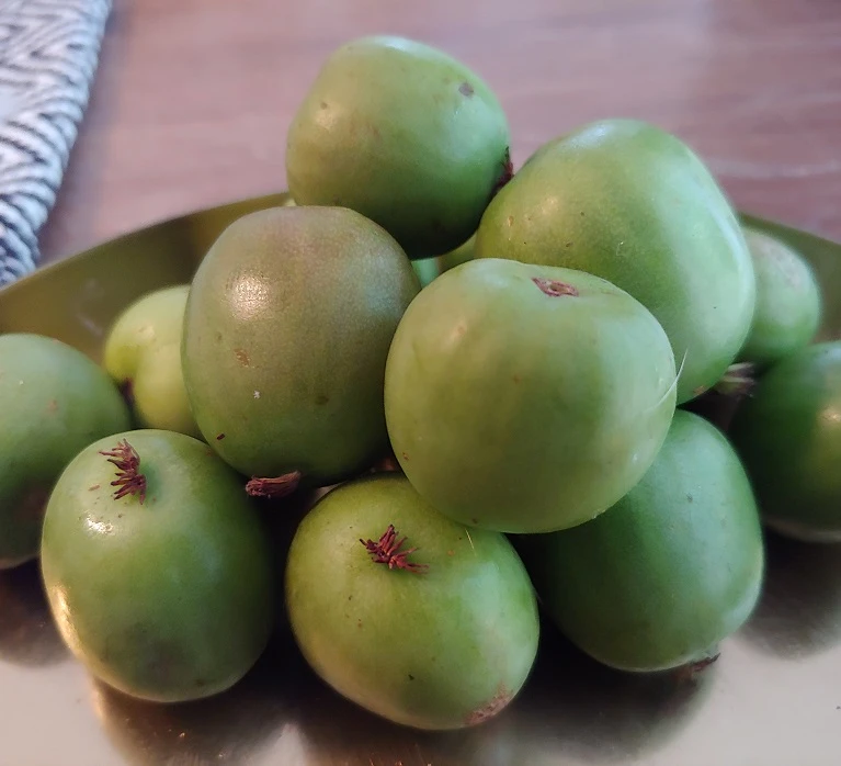 Bayern-Kiwi Set Actinida Arguta 4 Bayern-Kiwi Set Actinida Arguta – Bild 2