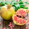 Granatapfel `Haku Botan´ Punica Granatum