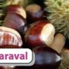 Esskastanie `Maraval´ Castanea Sativa `Maraval´ 1 Esskastanie `Maraval´ Castanea Sativa `Maraval´ -Pflanzen Verkauf Maraval