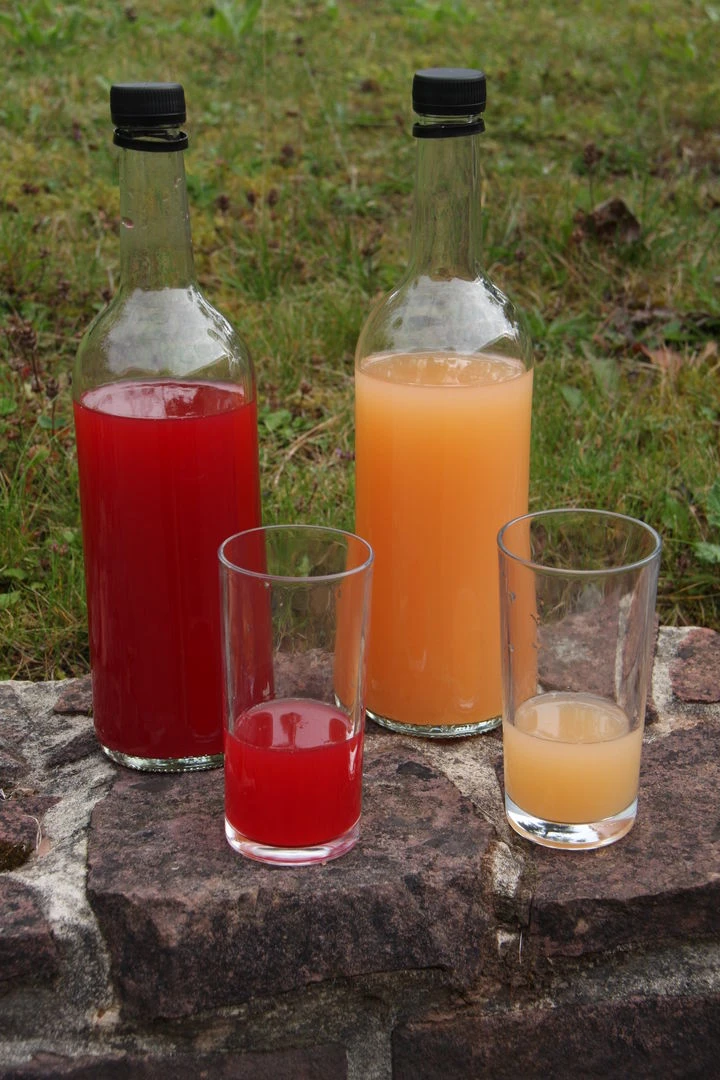 Rosette® Malus Domestica 5 Rosette® Malus Domestica – Bild 3