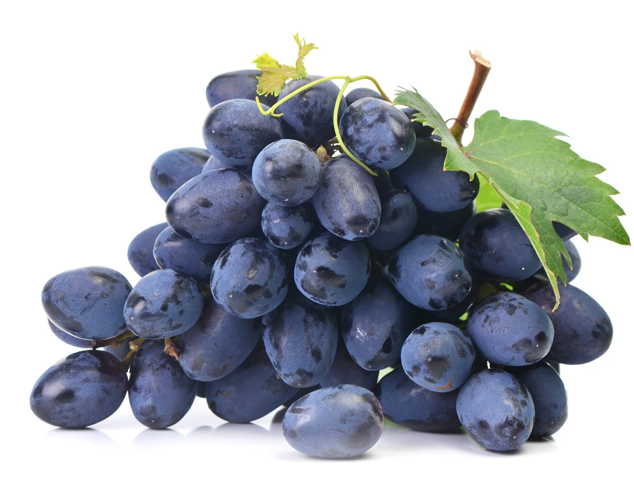 Tafeltraube `Georg´ Vitis `Georg´ 3 Tafeltraube `Georg´ Vitis `Georg´