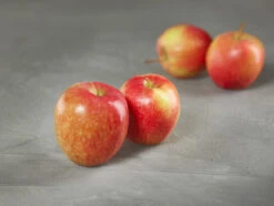 Rewena ® Malus Domestica 9 Rewena ® Malus Domestica -Pflanzen Verkauf apfel rewena g