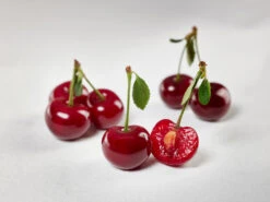 Safir ® Prunus Cerasus `Safir´ 13 Safir ® Prunus Cerasus `Safir´ -Pflanzen Verkauf sauerkirsche safir glCz99JjQsQ3RC